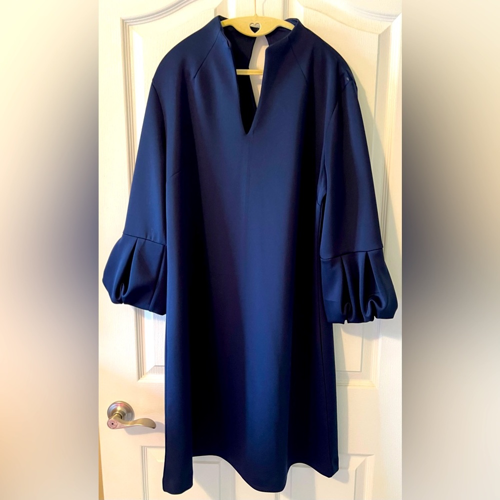New York & Company Navy Long Sleeve Dress